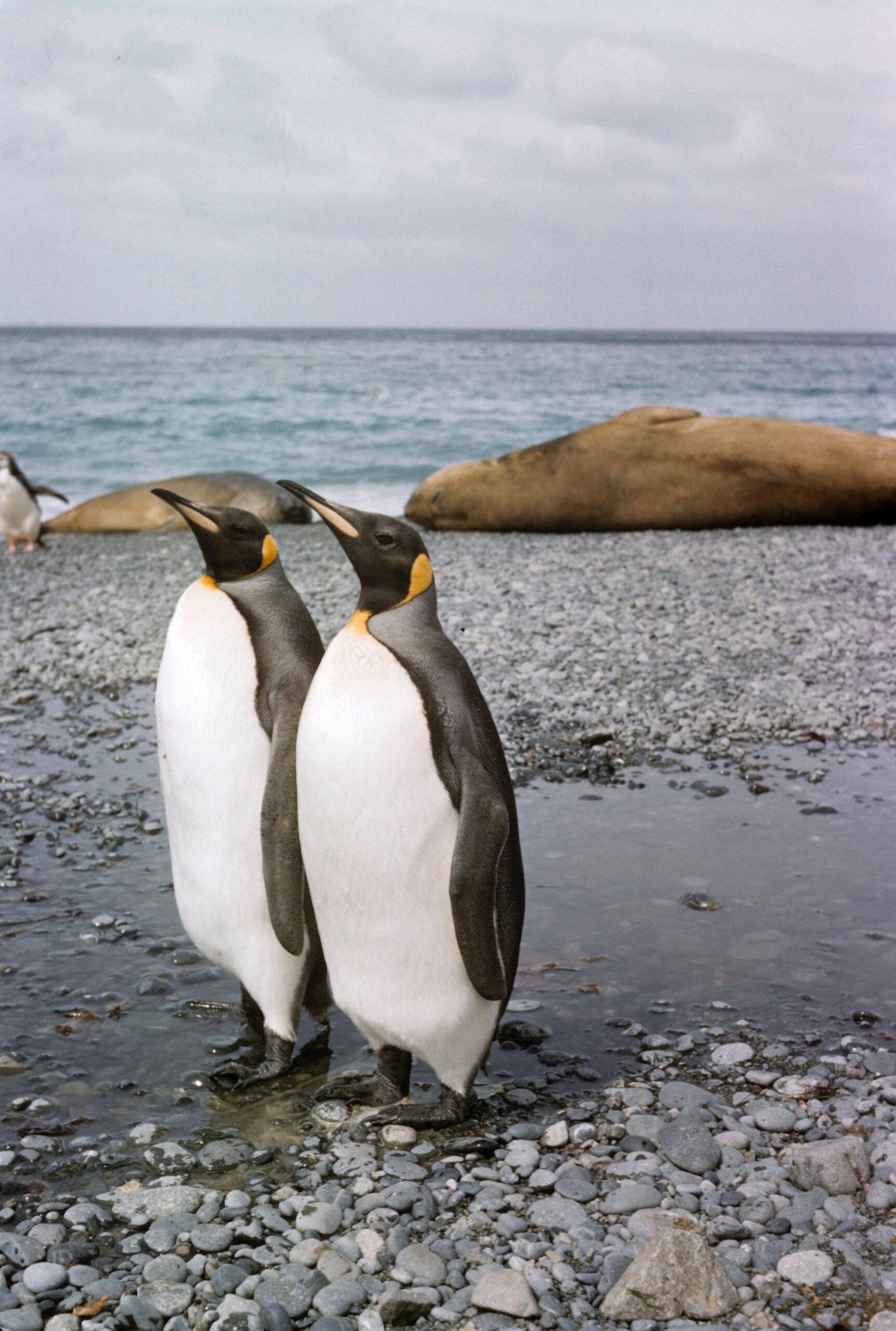 Mutual Respect Makes for Meaningful Conversation